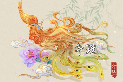 中华万年历_万年历黄历_黄历万年历老黄历2026